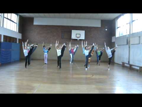 Gemischte Garde 2008/2009