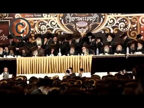 Wedding of Pshevorsk Rebbe’s Grandchild | חתנוה של נכד האדמו”ר מפשעווארסק שליט”א