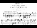 Schubert: Wanderer Fantasy in C Major, Op.15 (Lewis)