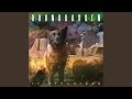 Hunted Down - Soundgarden - Topic Hunted Down