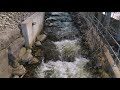 Thornbury Fishway What Is A Fishway