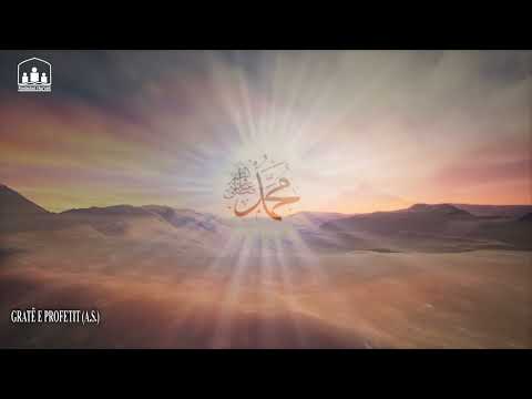 Gratë e Profetit (a.s)