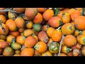 Supari Number 1 Cash Crop Of Andaman And Nicobar Islands Supari Arecanut Andaman