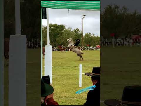 Kato Zamacona y la 27 de Leoz. Arroyo Cabral Cordoba. 25/10/26 #horse #jinetes #jineteadas