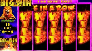 π₯ BIG WIN on SLOT WILD LIFE EXTREME π¦π° INSANE BONUS on IGT Provider! π°
