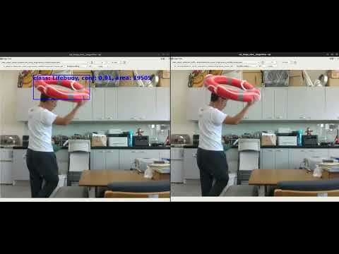 Lifebuoy Detection Video
