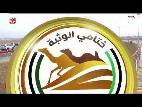 ش 16 (كفو) لـ حمود عبدالله بن شامس المحاربي 5:46:02 ، مهرجان ختامي الوثبة 2026/02/27 حقايق