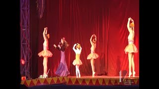 As dificuldades enfrentadas por artistas de circo