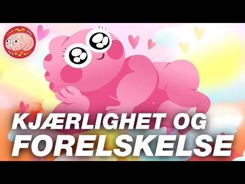 Hva skjer når du er forelska?