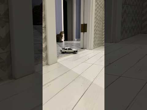 Thumbnail for Awesome Cat Reaction. Kyosho Mini Z Toyota AE86 Trueno Home Drift by Toyota AE86, Toyota, Toyota AE