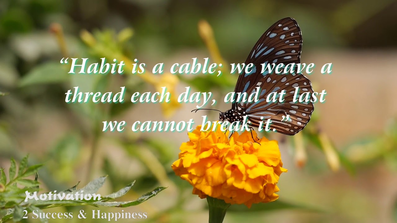 17 Motivational Quotes to Inspire Successful Habits