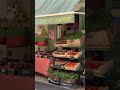 Discover the charm of Luberon’s villages in Provence!