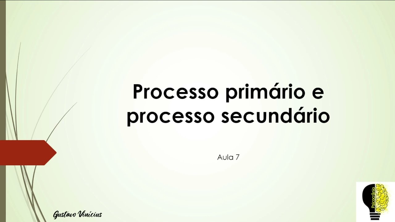 Processo primário e processo secundário - Aula 7