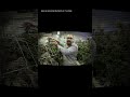 The Bloom Booster EVERY Elite Grower Secretly Uses... 🤫 #advancednutrients #cannabis #bigbud