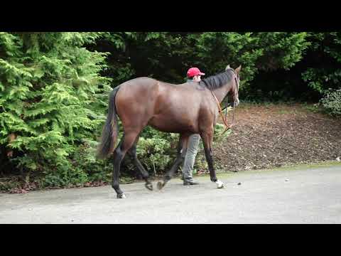 Muhaarar x Inyordreams