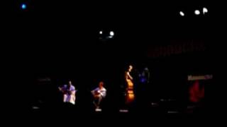 Lollo meier quartet Jazz manouche Festival Torino (