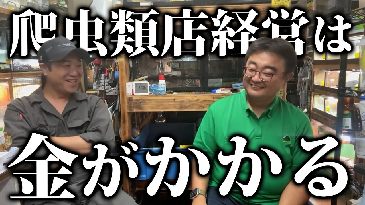 【現実】爬虫類店経営ははとにかくお金がかかる