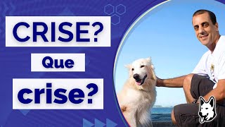 Crise? Que crise?