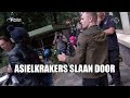 Gewelddadig vertrek asielkrakers ‘We Are Here’