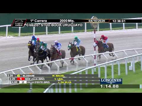 201004 c01 Stud Book  VILLA D´ESTE (BRZ)