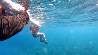 Panglao Snorkel and Dive Trip 2022