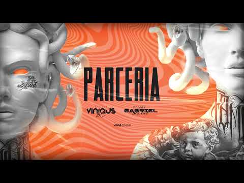MEGA PARCERIA JANEIRO 2022 (DJ GABRIEL SILVA & DJ VINICIUS SC)