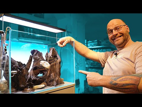 Dieses Holz kommt in das 60cm Südamerika Aquarium 🪵