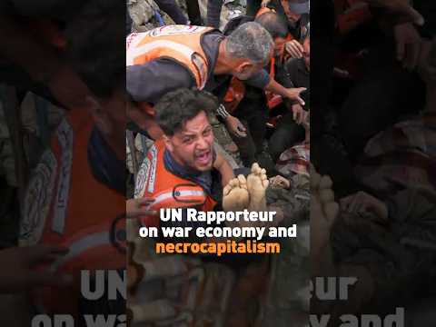UN Rapporteur on war economy and necrocapitalism
