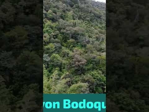Bodoquena MS