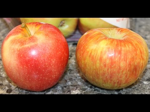 Honeycrisp apples vs gala apples review