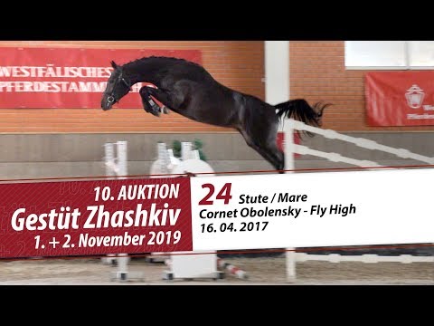24 Stute / Mare v. Cornet Obolensky - Fly High