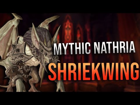 Shadowlands - Mythic Castle Nathria Shriekwing KILL! Affliction Warlock POV w/ Logs!