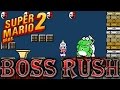 Super Mario Bros 2 All Bosses Ending No Damage