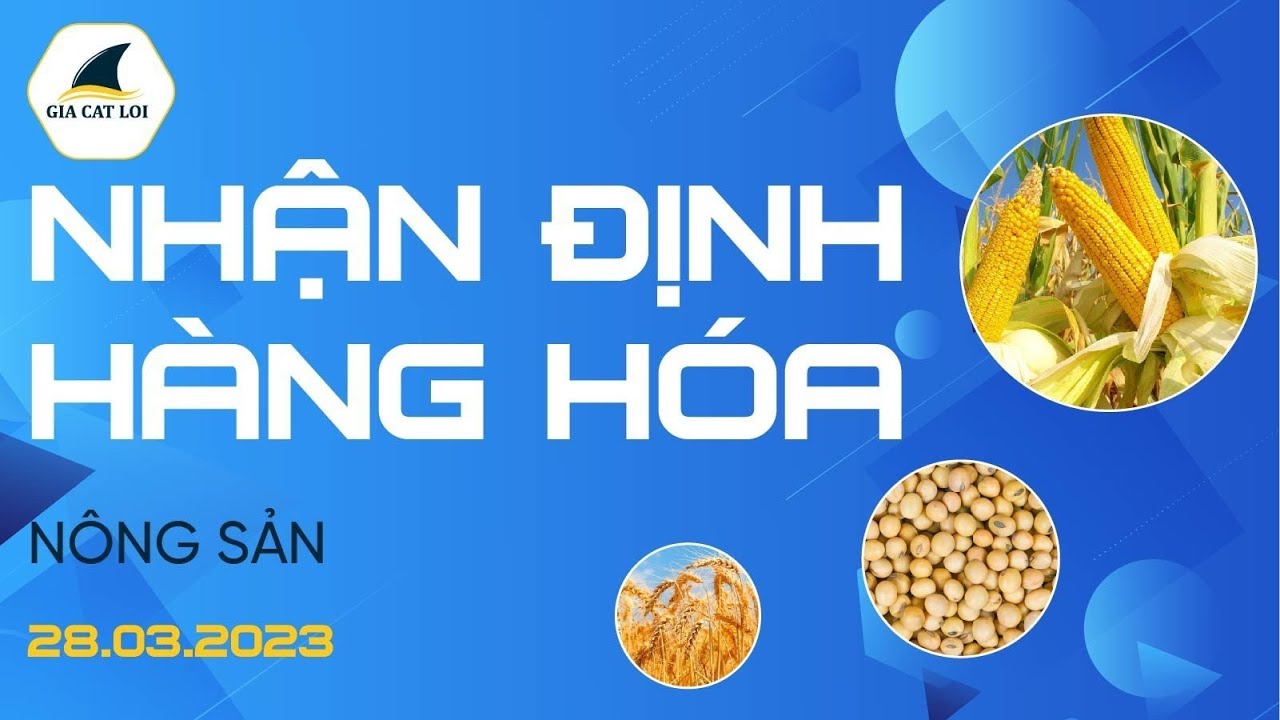 Nhận Định Hàng Hoá Nông Sản Ngày 28/03/2023