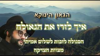 איך לזרז את הגאולה - הצדקה שתביא את השלימות | מבאר תורתו של רבינו הגאון הינוקא שליט"א