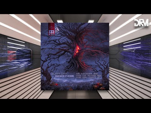 Burr Oak - Twain Wolves (Black Sun Empire Remix) [Eatbrain]