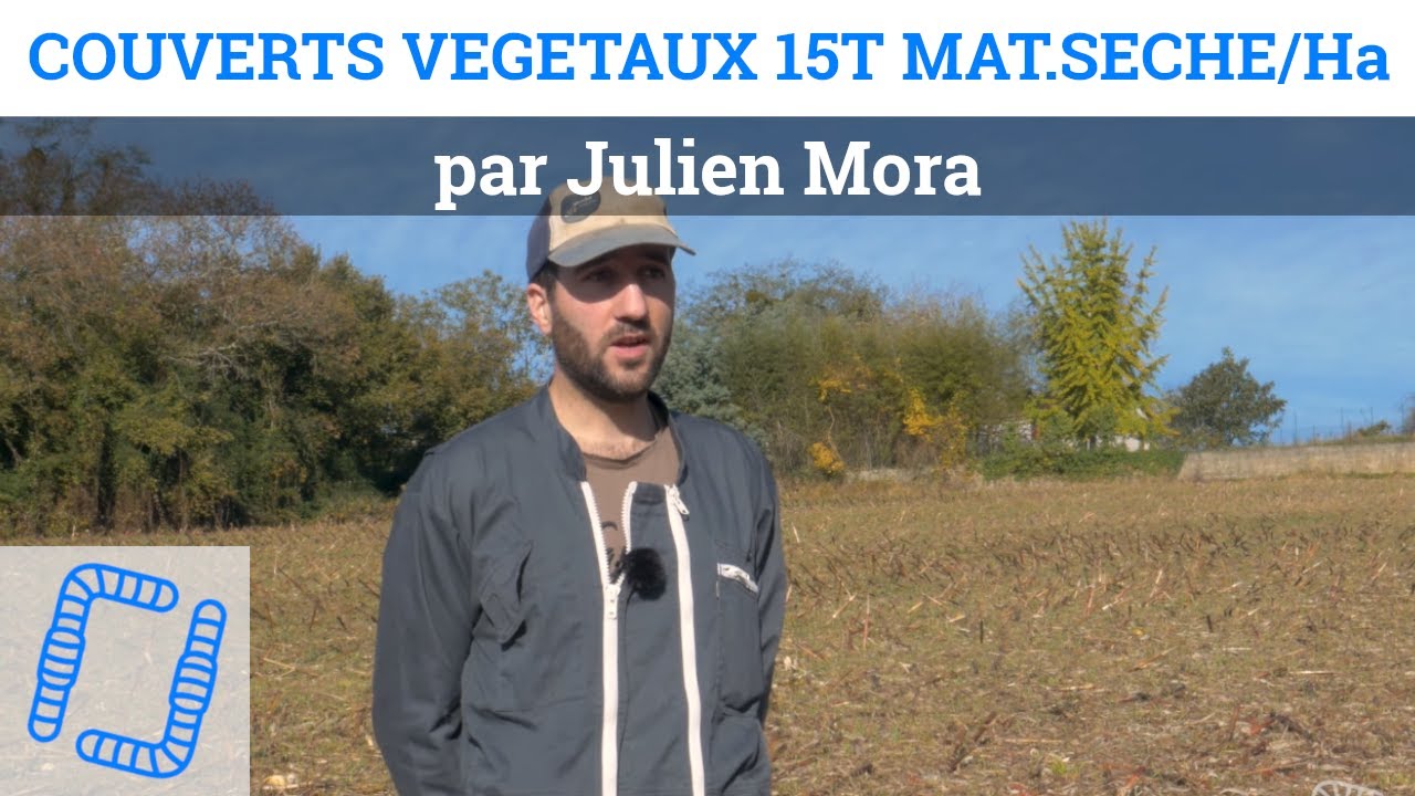 Couverts végétaux 15T MS/Ha - Julien Mora
