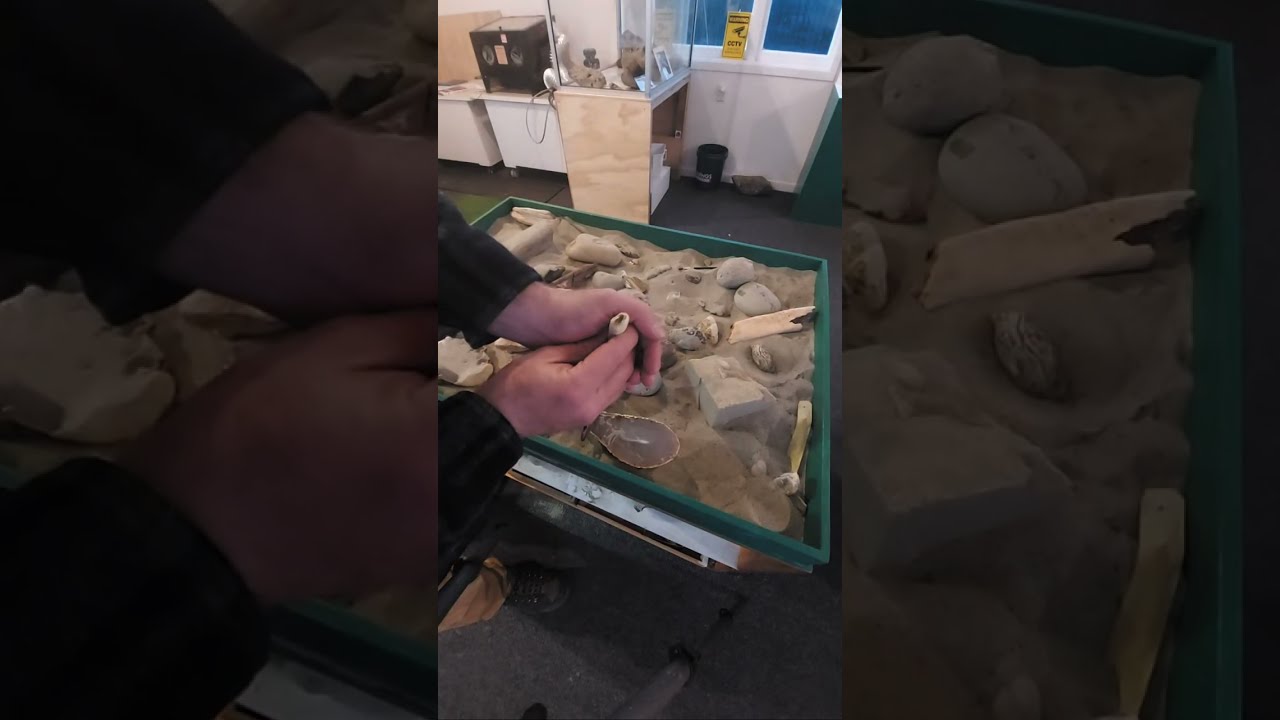 Mamlambo Fossils is live!