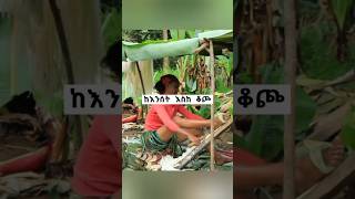 Download lagu የሸካቾ ብሔር ባህላዊ የቆጮ አዘገጃጀት ። #ethiopia #sheka #habesha #keffa #shinasha #culture mp3