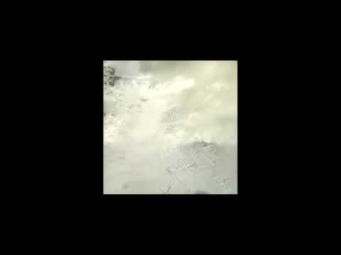 PREMIERE: Ohad Peleg - Viridian (Sadan Records)