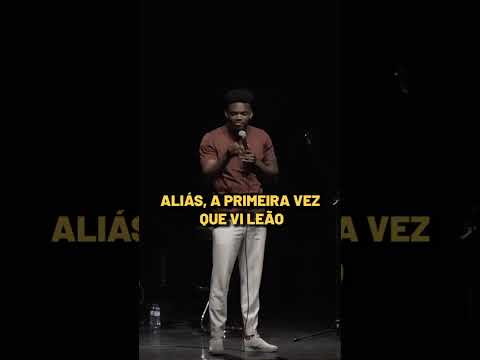 A lion is not our cat.