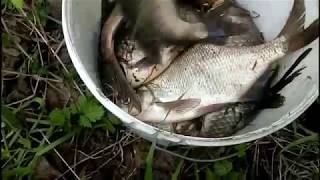 Открытие рыбалки в удмуртии с лодок на открытой воде