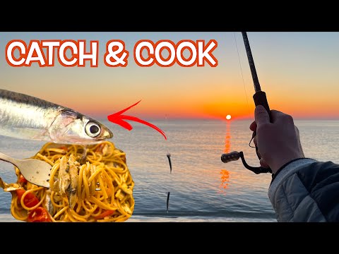 DALLA CATTURA ALLA COTTURA! Pesca dell'Acciuga o Alice con il Sabiki dalla Spiaggia - Catch & Cook