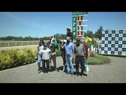 CARRERAS SINT FLORIDA - 211029 c01 1° ODISEA CARVER MR