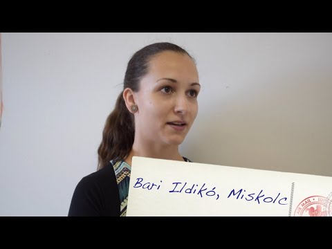 Bari Ildikó, Miskolc - Home Town Hero