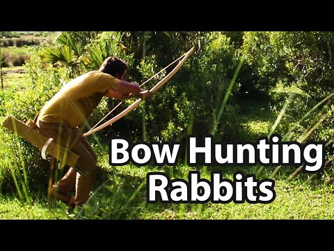 Rabbit Hunting with Primitive Bow and Arrow