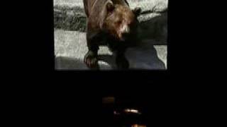 Jan Kopinski MIRRORS:The Great Bear