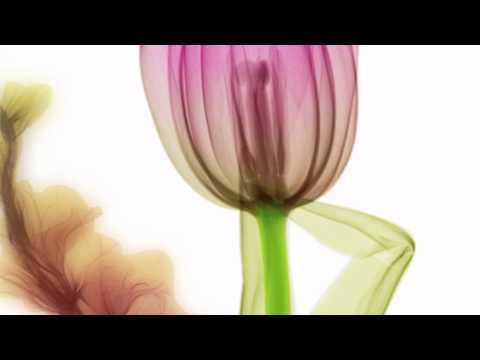 Abra Marketing video.