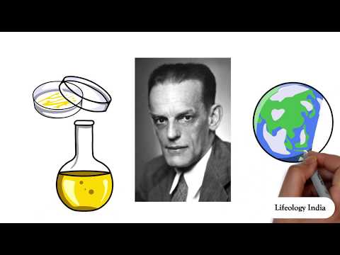 Era Of Yellow Fever Epidemic  - Lifeology India