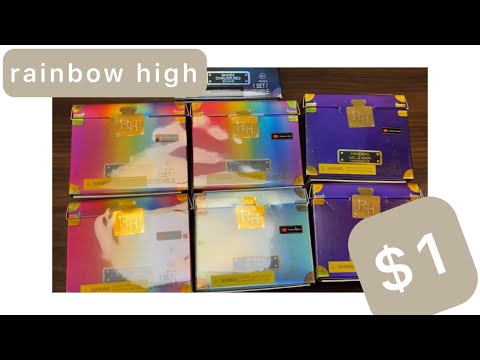 1 Dollar Rainbow High Doll Bags